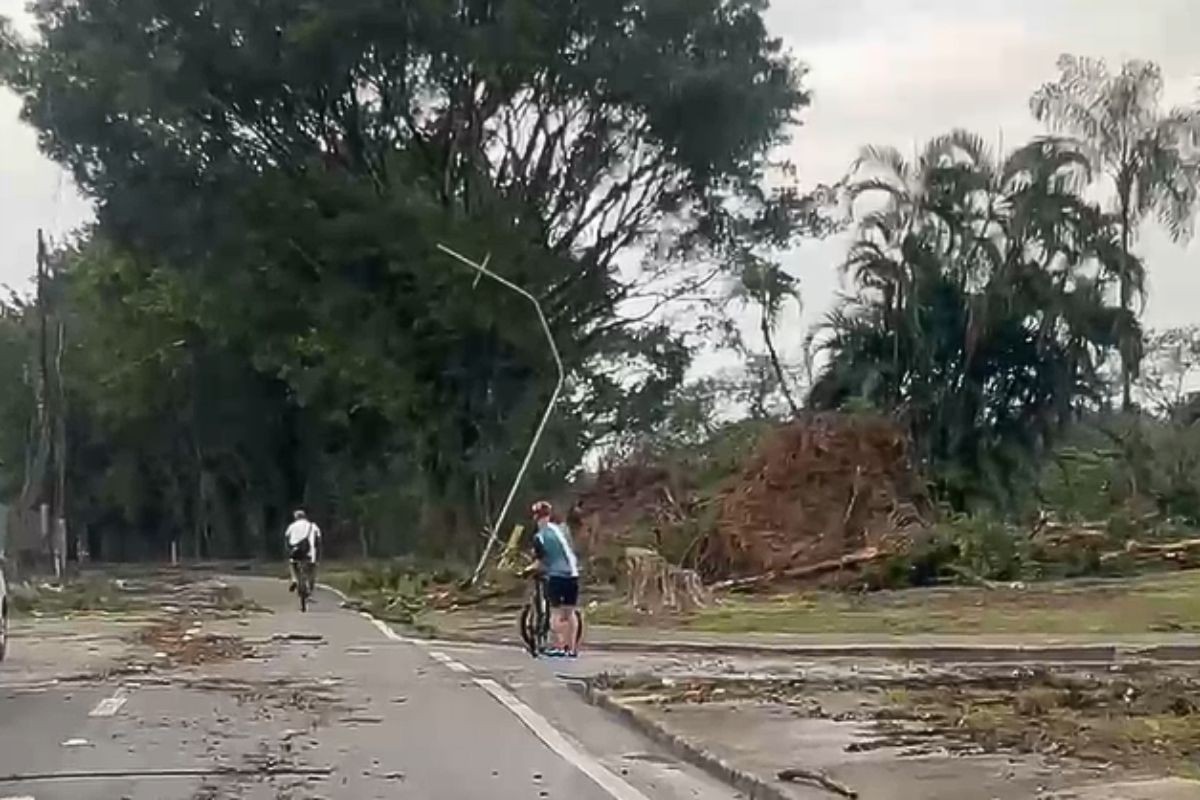 Morte, aulas suspensas, imóveis destelhados e mais de 80 quedas de árvores: veja rastro de destruição deixado por ventania no litoral de SP 
