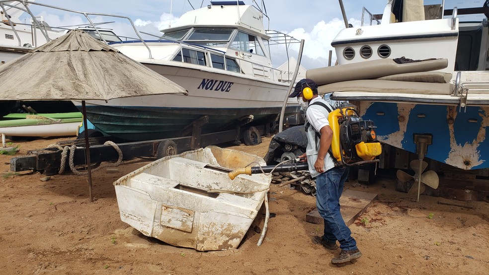 Técnicos aplicam o larvicida nos barcos do porto de Noronha — Foto: Ana Clara Marinho/TV Globo