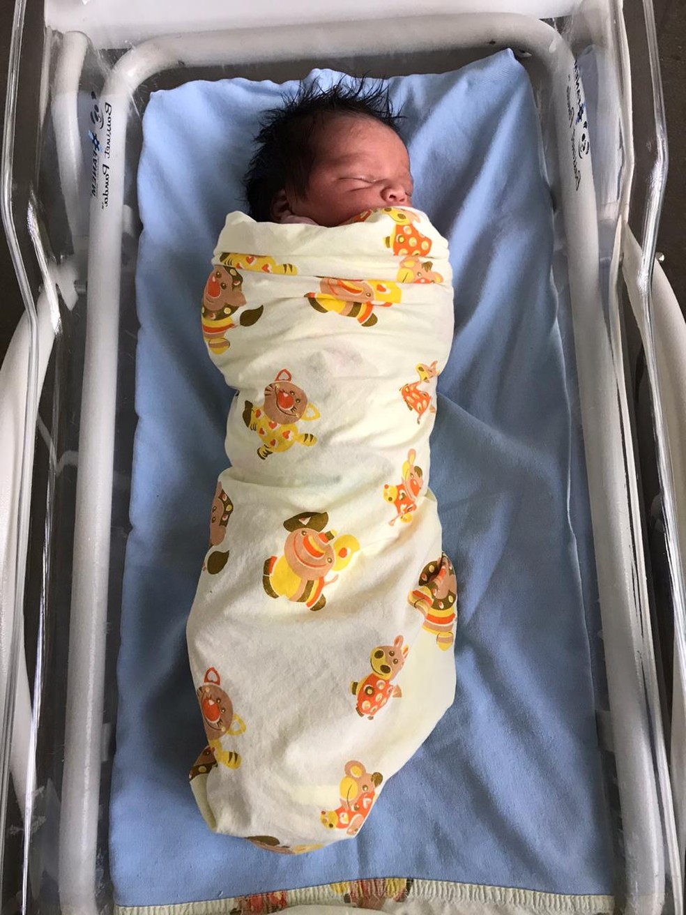 Primeiro bebê nascido no Centro de Parto Normal em Sidrolândia é um menino  - Sidrolândia - Região News