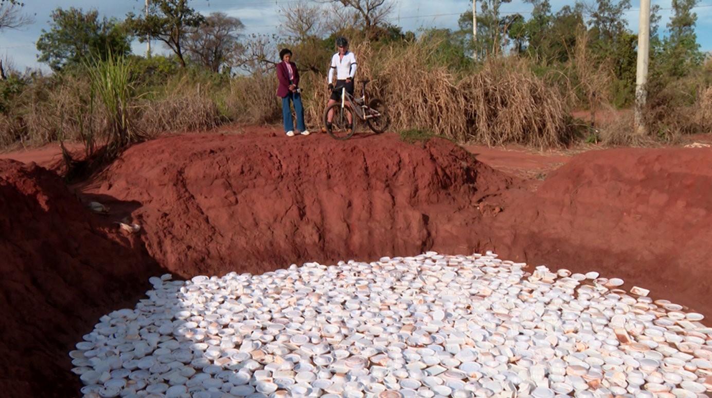 Vídeo mostra centenas de marmitas de isopor jogadas em estrada rural: ‘Cena horrível’