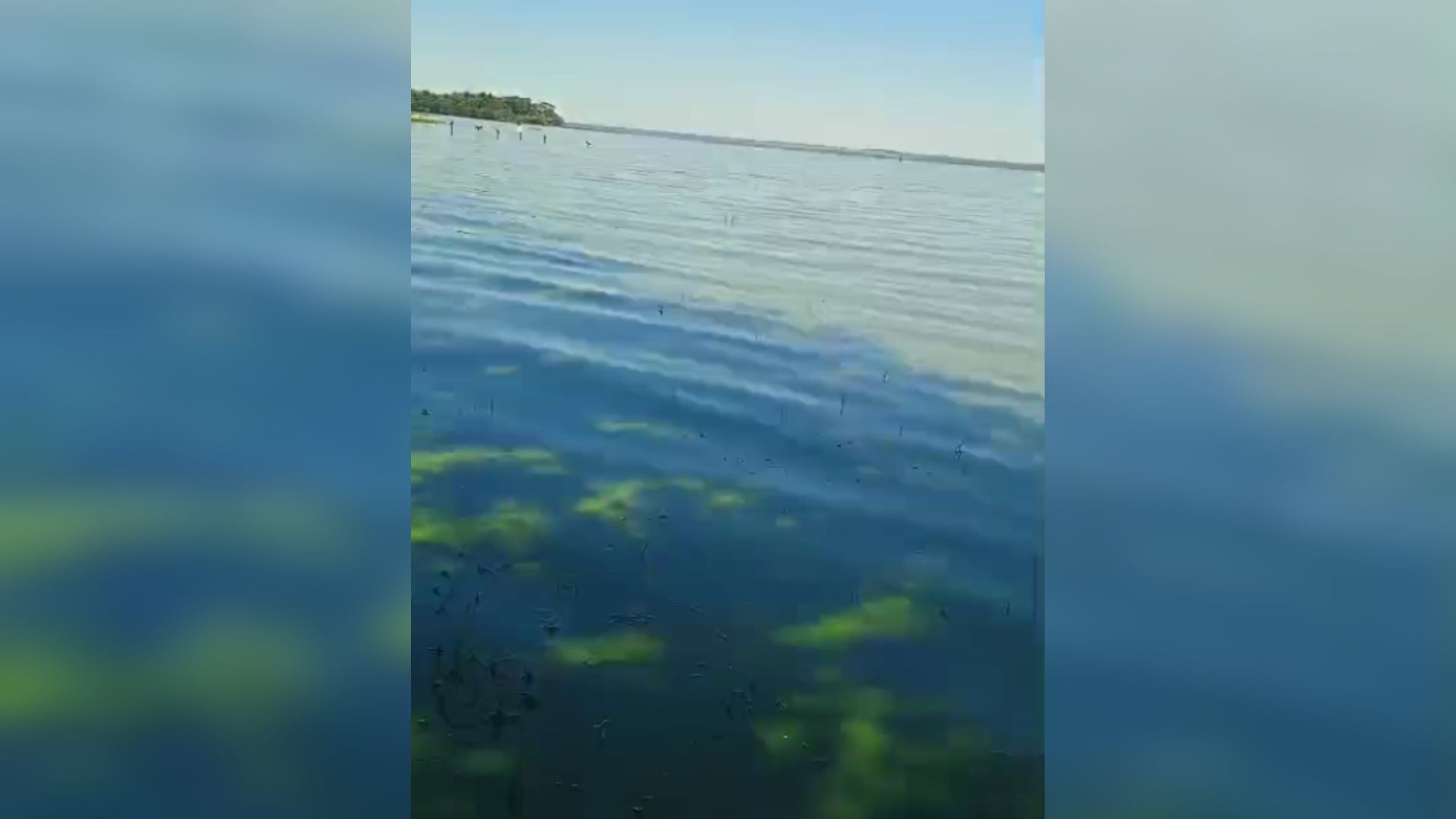 Moradores registram Rio Tietê com coloração verde no interior de SP; vídeo