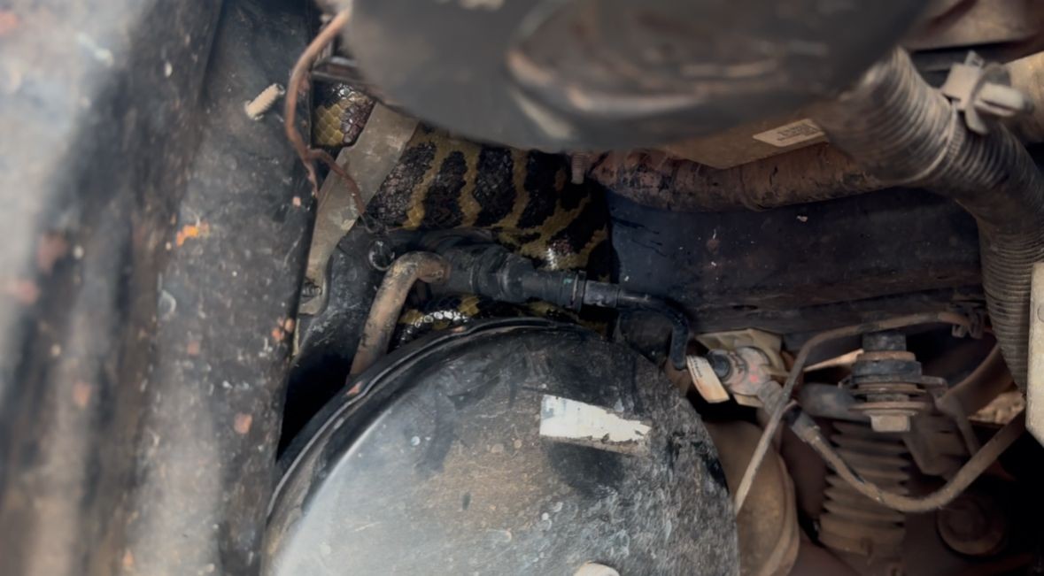 Você Não Tá Convidada pro Meu Bat Mitzvá!