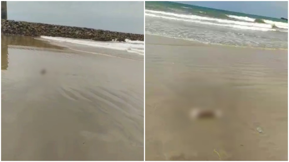 Membros são encontrados em praia de Fortaleza — Foto: Reprodução