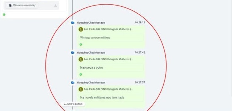 Em troca de mensagens, Renê pede para delegada entregar outra arma — Foto: Reprodução