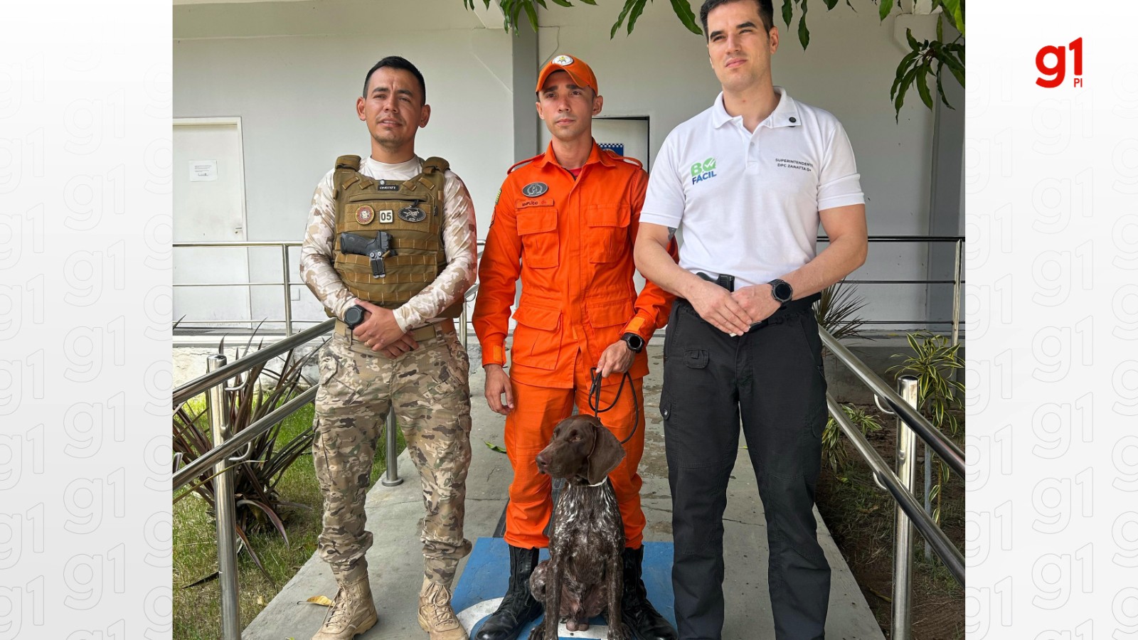 Novo cão policial especializado na detecção de restos mortais chega ao Piauí