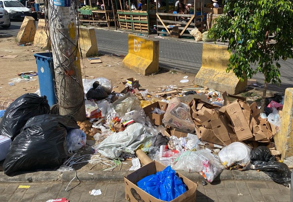 Serviço de coleta de lixo foi suspenso em Feira de Santana durante quase 48 horas — Foto: Adilson Muritiba/TV Subaé