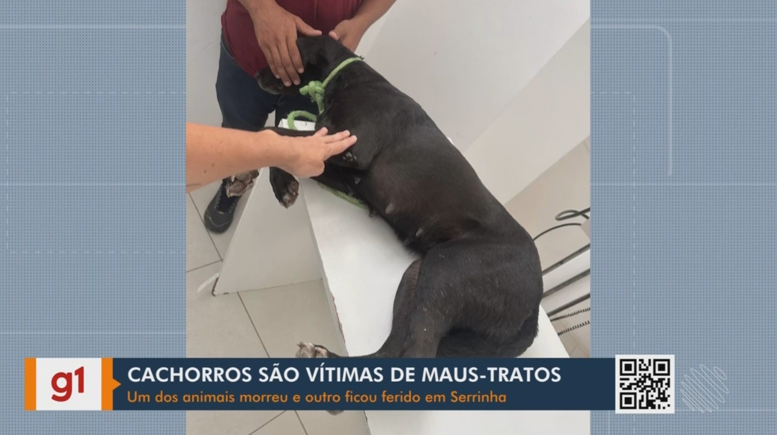 Vídeos do g1 e TV Subaé - terça-feira, 10 de fevereiro de 2026