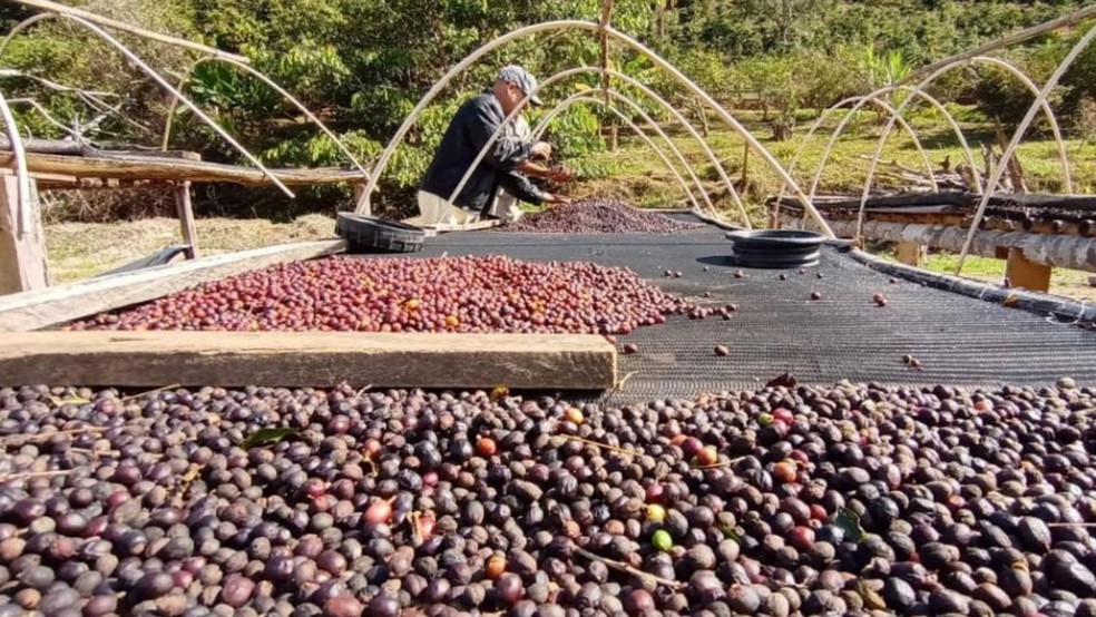 Café Cantinho da Floresta, em Divino de São Lourenço, Caparaó, Espírito Santo — Foto: Divulgação
