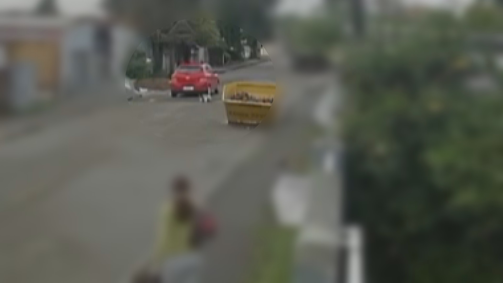 VÍDEO: Mulher é indiciada por maus-tratos após atropelar cachorro e não prestar socorro no Paraná