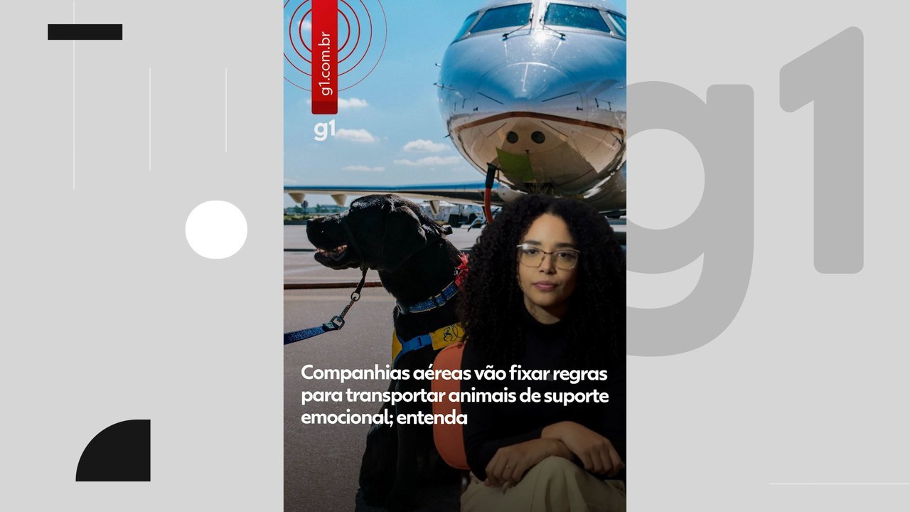 Voo do Rio para Lisboa é cancelado após TAP recusar embarcar cão de serviço mesmo com ordem judicial