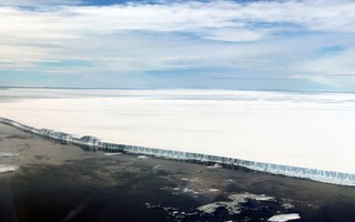 Derretimento do maior iceberg do mundo liberou quase 50 vezes consumo de água do Brasil por dia