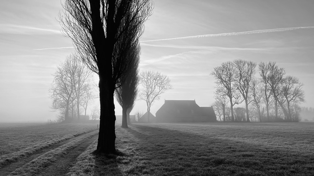 'Madrugada na fazenda', de Ton Ensing, ficou com o 1º lugar na categoria 'Paisagem'. Foto tirada na Holanda — Foto: Ton Ensing/iPhone Photography Awards