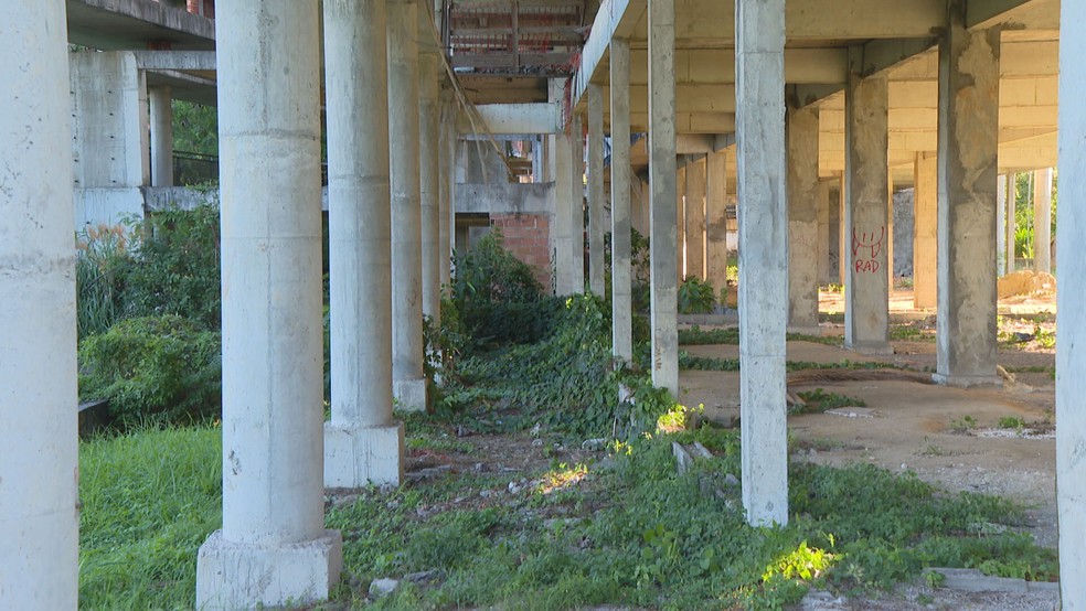 UFRJ, maior universidade do pa&iacute;s, vive crise financeira &mdash; Foto: Reprodu&ccedil;&atilde;o/TV Globo