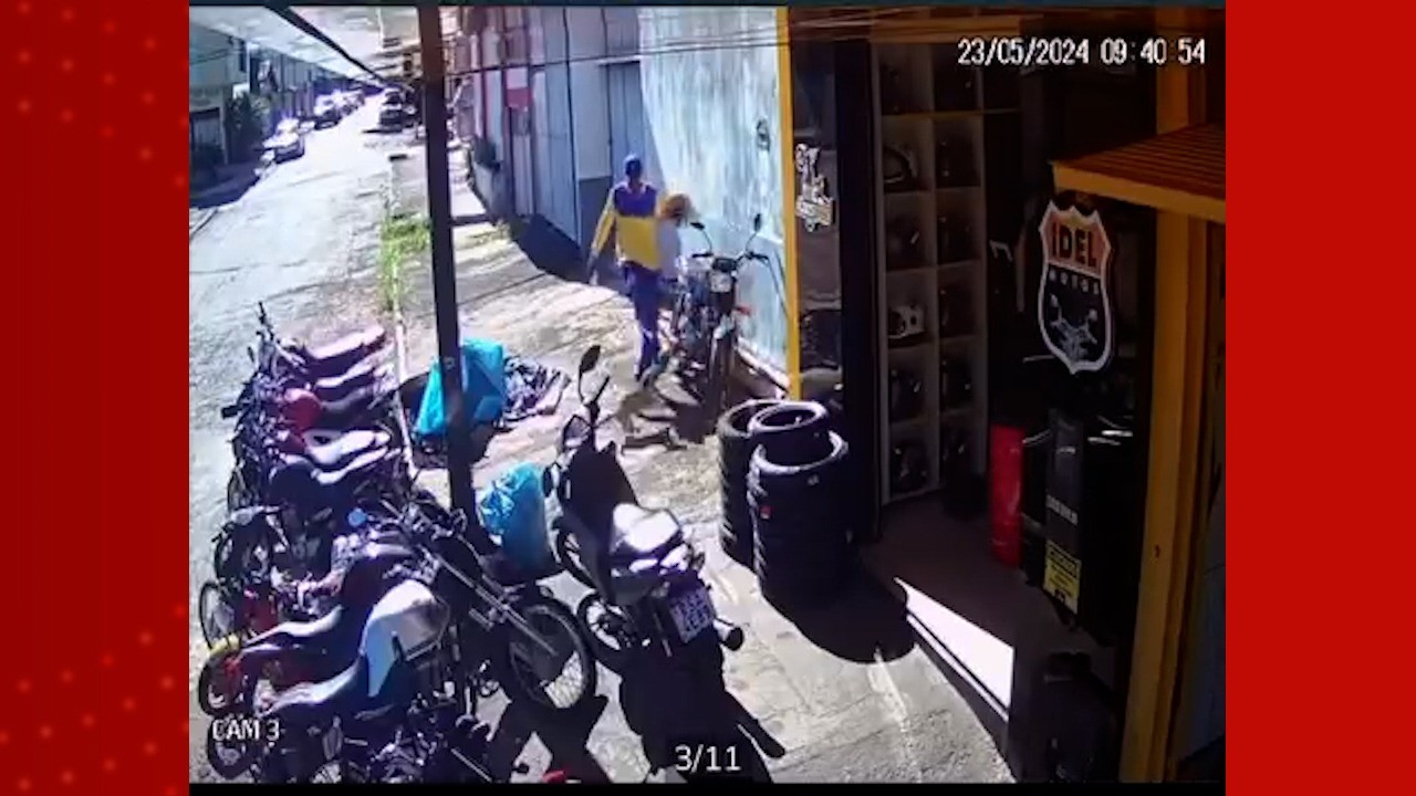 Carteiro acerta chute em cachorro que tomava sol na frente de loja; VÍDEO