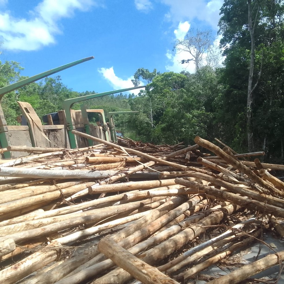 Homem morreu ao ser atingido por toras de madeira no sul da Bahia — Foto: Lenio Cidreira/Liberdade News