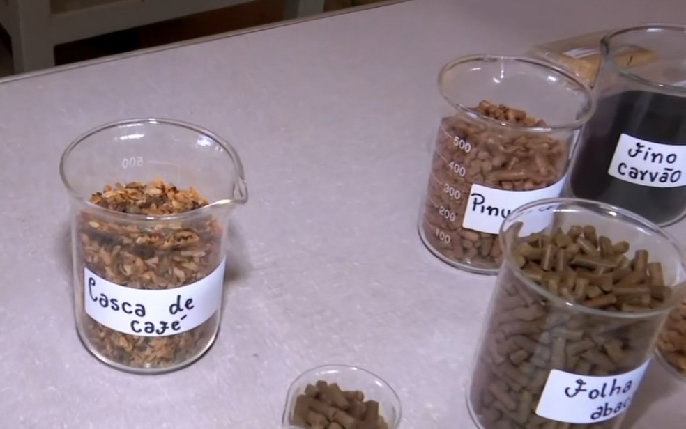 Resíduo do café vira energia: estudo da UFLA cria biocombustível a partir da casca do grão — Foto: Reprodução EPTV