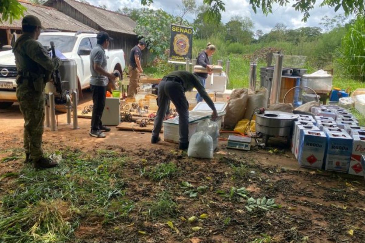 Polícia descobre e destrói base usada para produção de 'maconha premium' entre o Brasil e Paraguai