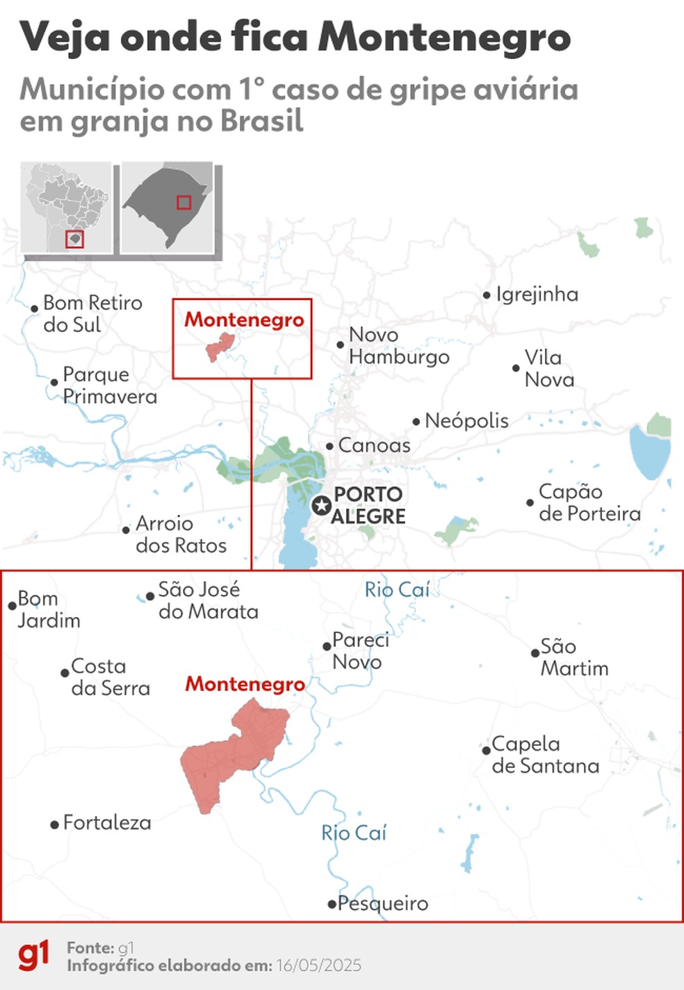 Veja onde fica Montenegro, município com o primeiro caso de gripe aviária em granja comercial no Brasil — Foto: Arte g1