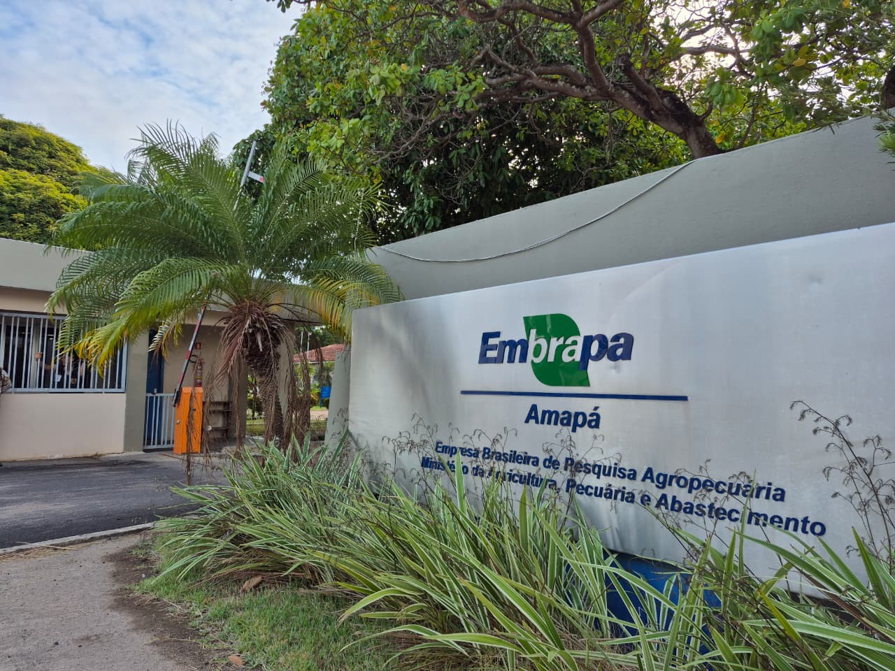 Congresso mantém veto de Lula e permite acesso de pessoas com deficiências leves ao BPC