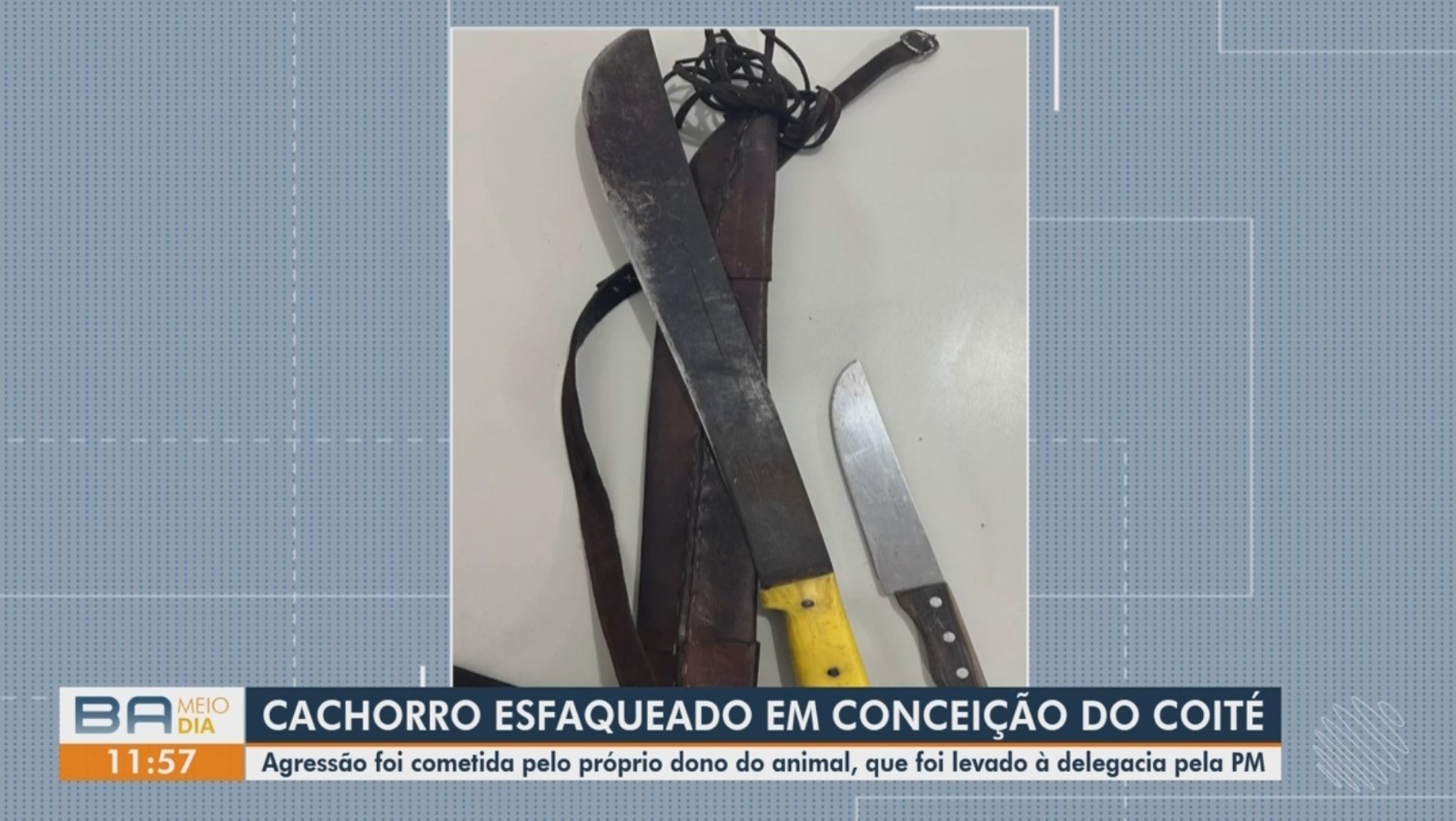Vídeos do g1 e TV Subaé - quarta-feira, 16 de julho de 2025