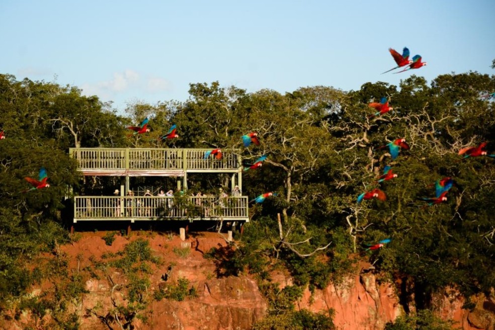 Buraco das Araras, em Jardim (MS). — Foto: Buraco das Araras/Divulgação