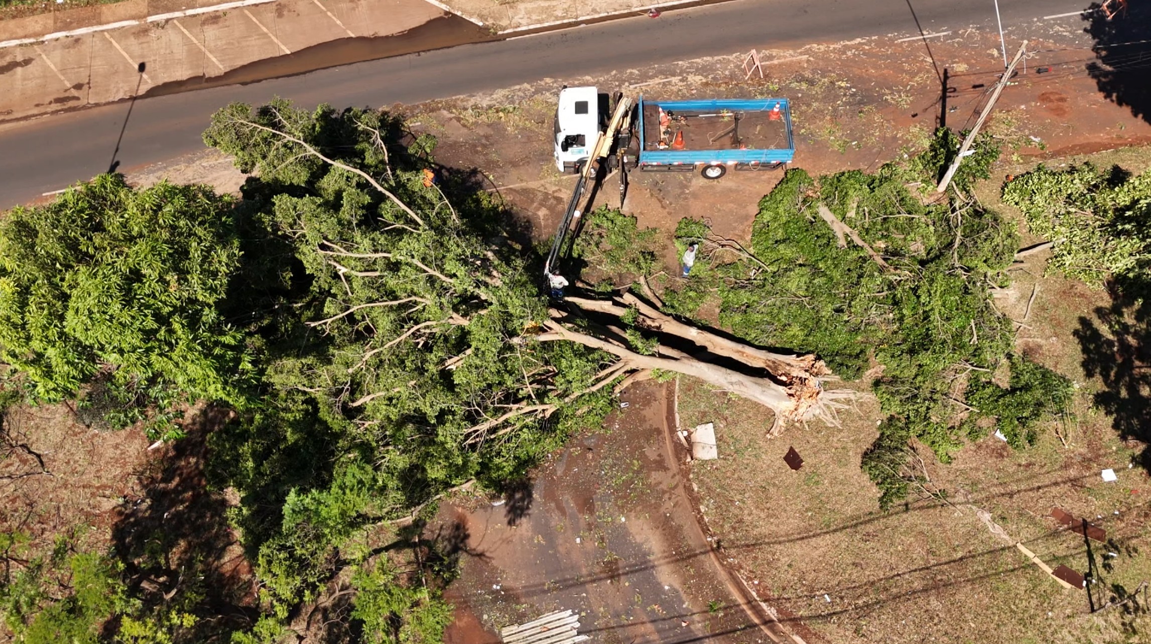 Ribeirão Preto estima gasto de R$ 21 milhões com limpeza e remoção de árvores após temporal que devastou cidades do interior de SP