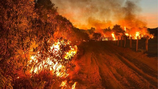 Fazendeiros são multados em R$ 100 milhões por queimarem 330 mil hectares - Foto: (GOV-MS/Reprodução)
