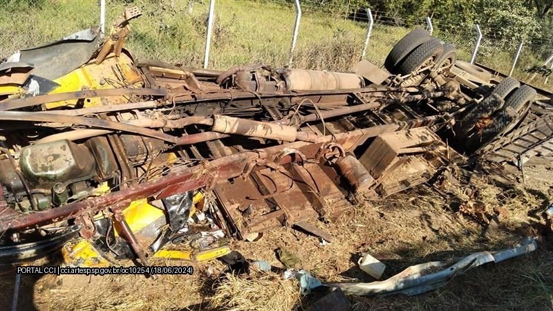 Caminhão que transportava búfalos tomba em rodovia de Itapetininga