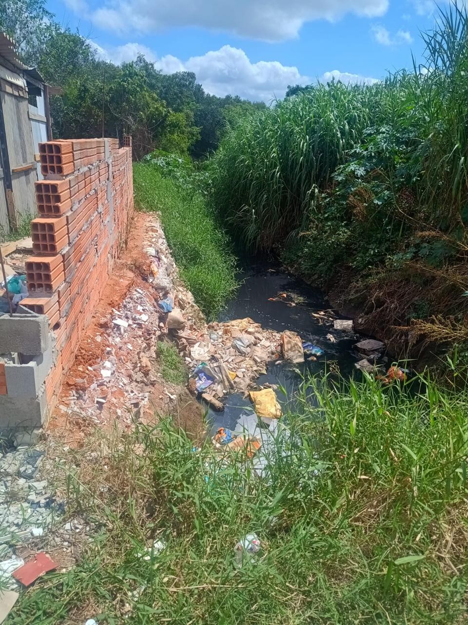 GCM de Mogi das Cruzes combate invasão em área de preservação e autua responsáveis