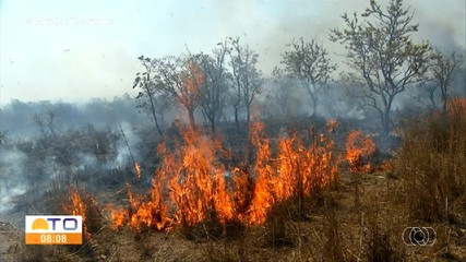 Corpo de Bombeiros do Tocantins inicia curso de formação de 80 brigadistas