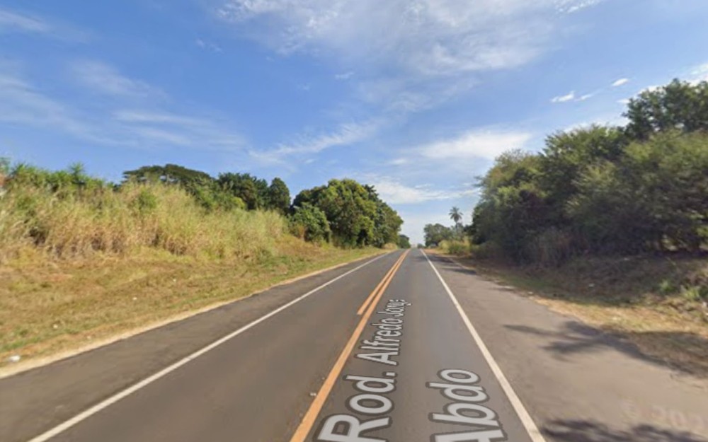 Cavalo na pista provoca acidente entre dois carros em rodovia no noroeste de SP
