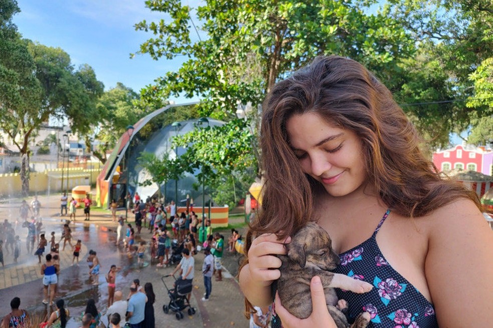 Feira de adoção de cães e gatos será realizada neste fim de semana na Cidade da Criança, em Campos, no RJ — Foto: Luzitânea Xavier/Prefeitura de Campos