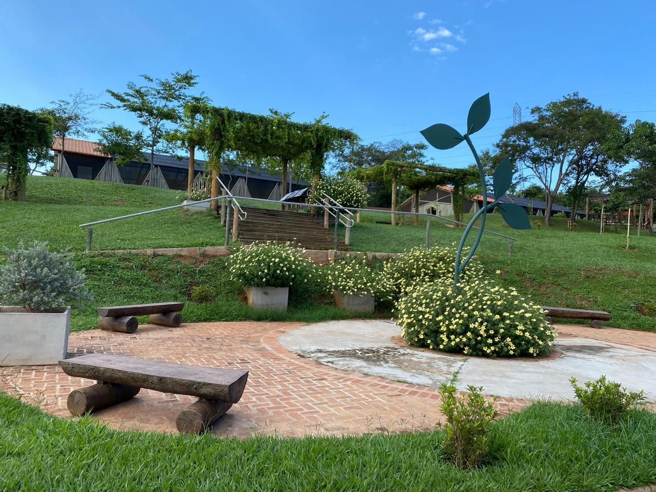 Jardim Botânico de Bauru recebe certificação internacional pelo trabalho de preservação de plantas 