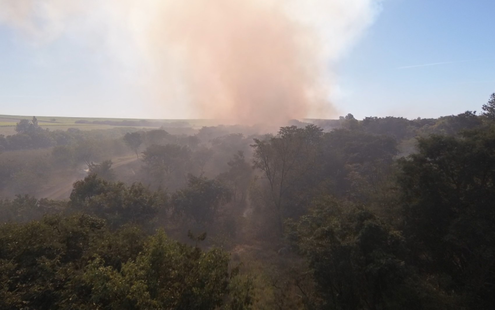 Queima controlada atinge 160 hectares na Estação Ecológica de Jataí, em SP