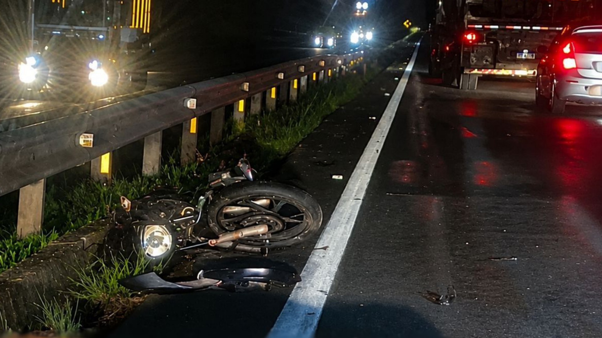 Cavalo solto na pista causa sequência de acidentes e deixa ferido em rodovia de Botucatu