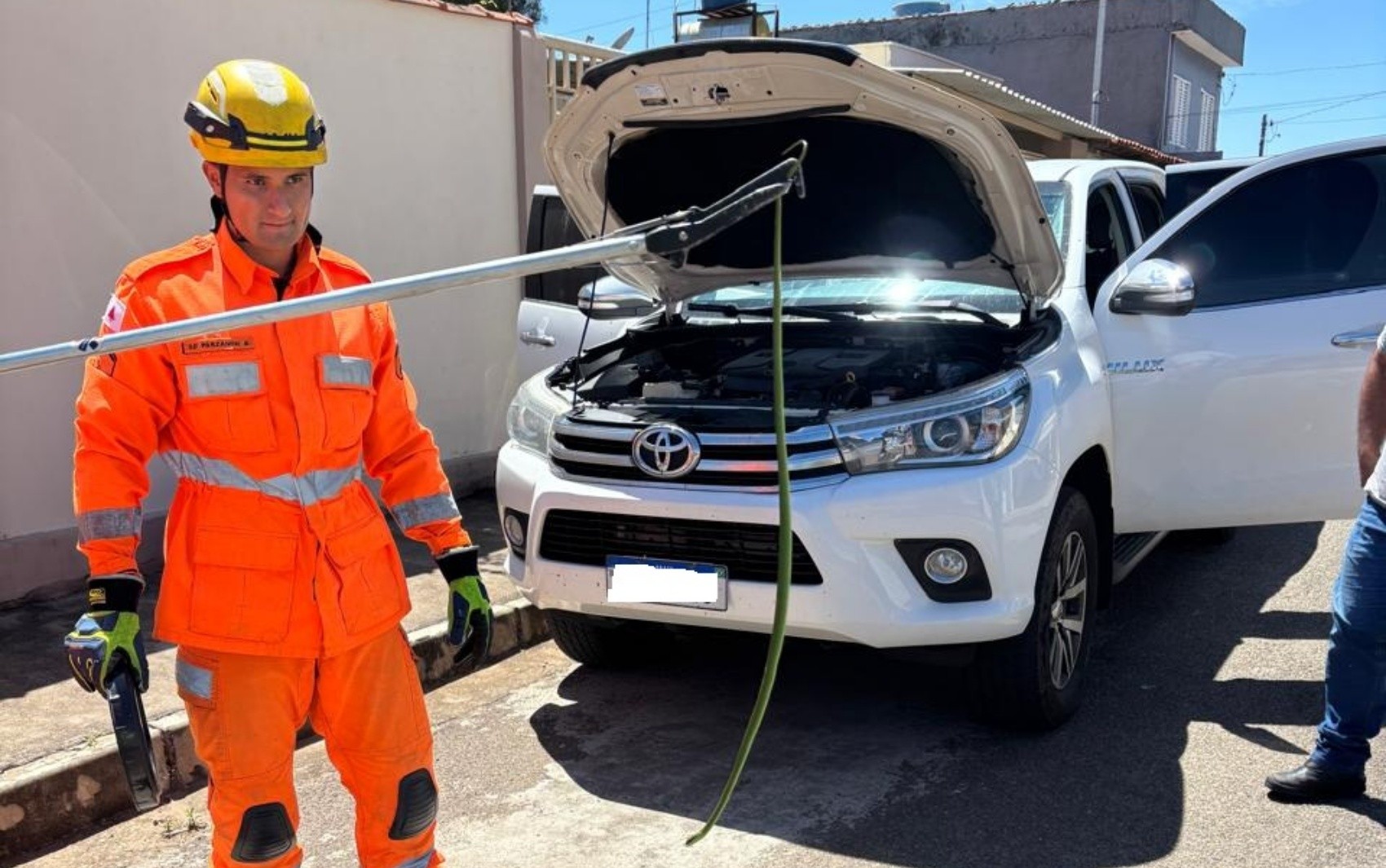 Bombeiros resgatam cobra-cipó de dentro de carro em Campo Belo, MG