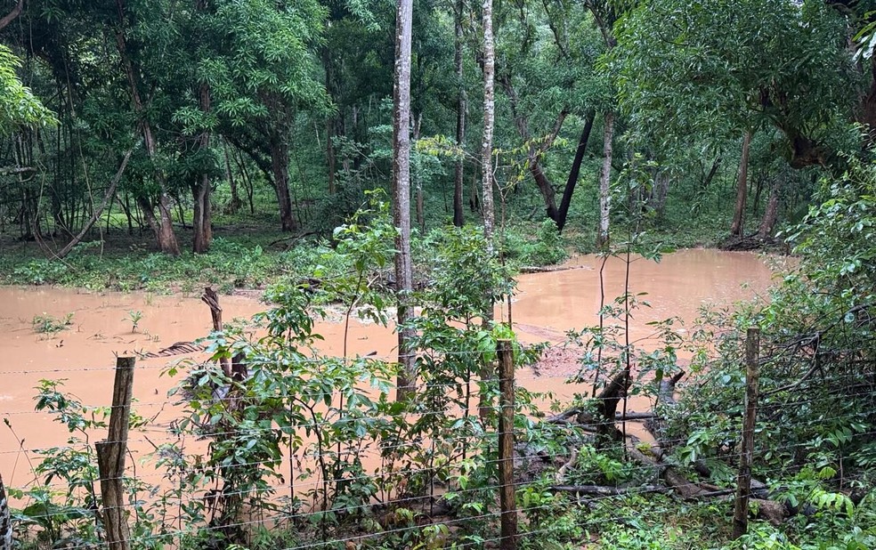 Ação contribui para reduzir impactos ambientais — Foto: Ascom Semarh