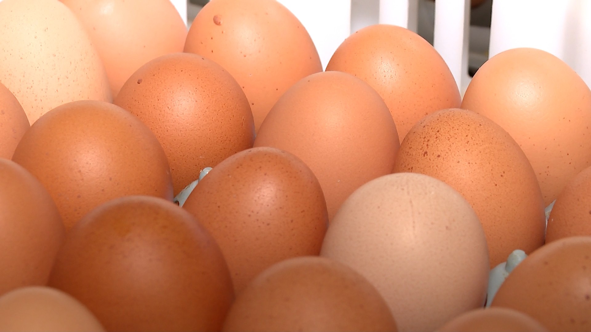Lei amplia lista de alimentos alergênicos que precisam ser informados em cardápios na Paraíba