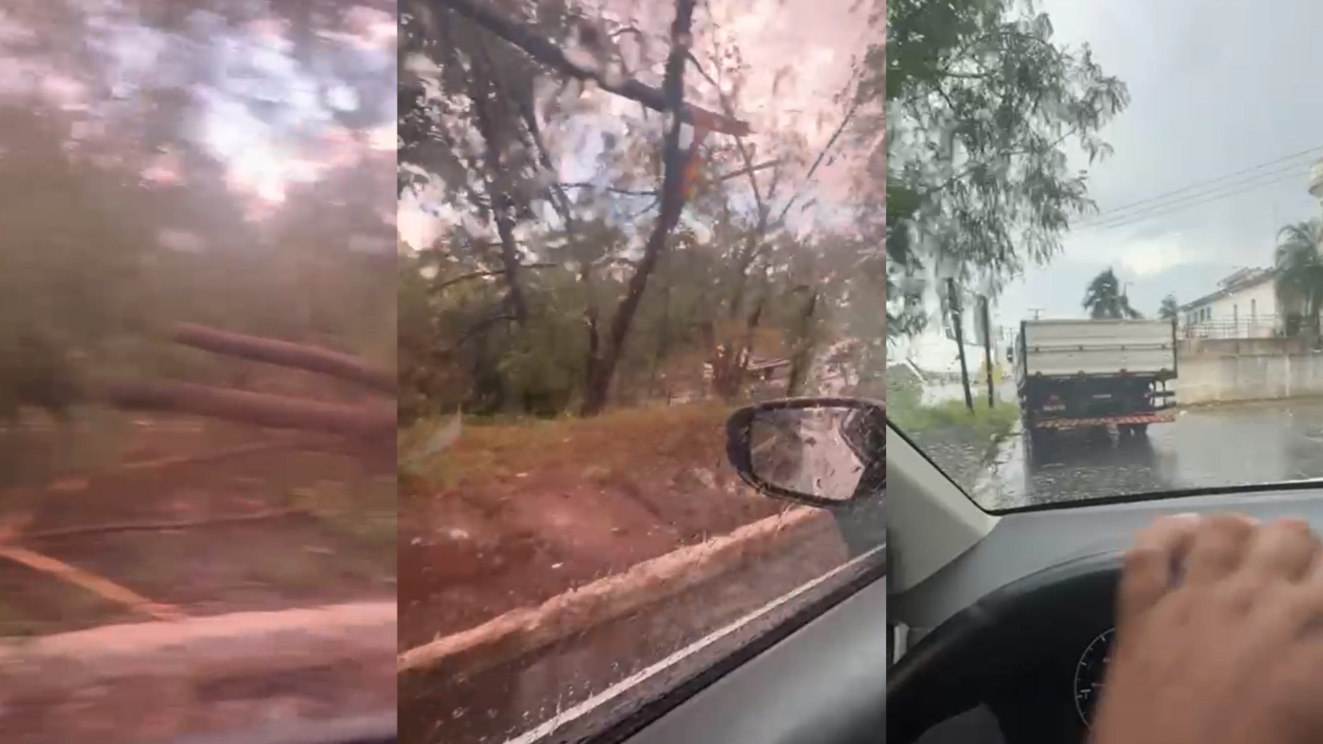 VÍDEO: árvore cai entre carros durante tempestade e trava estrada em MT 