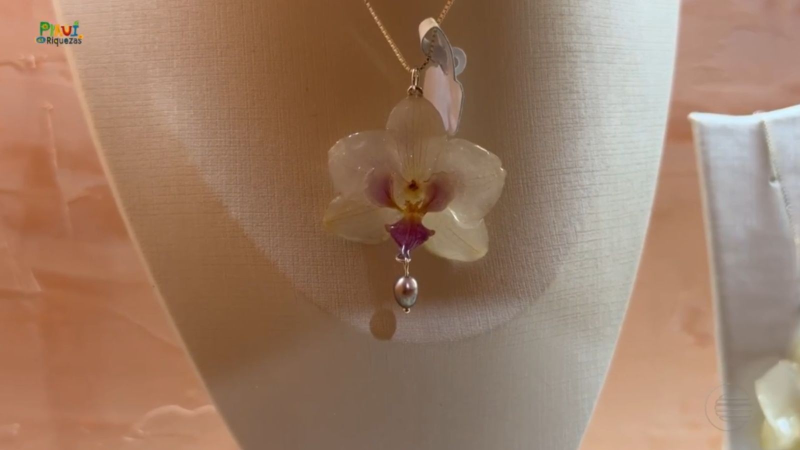 Piauí de Riquezas mostra como flores do Cerrado são transformadas em biojoias e peças artesanais