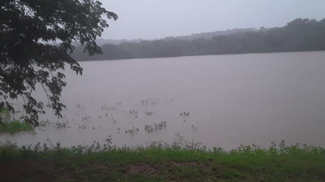 Chuva faz níveis de rios subirem e Defesa Civil alerta ribeirinhos em Paranã; VÍDEO