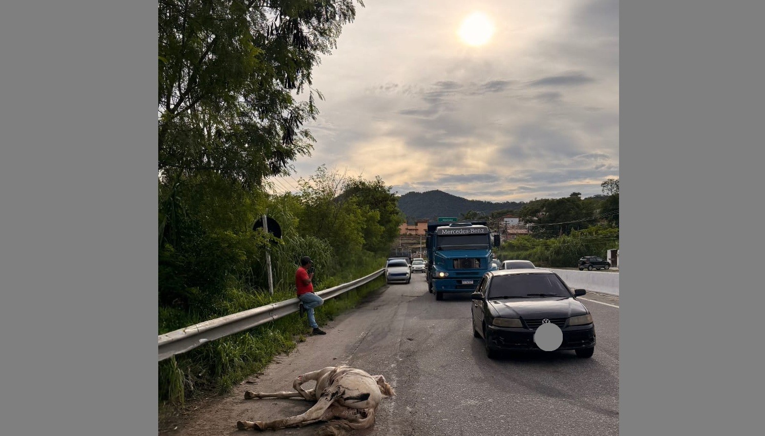 Cavalos são furtados de fazenda pública em Maricá; animais são recuperados pela PM