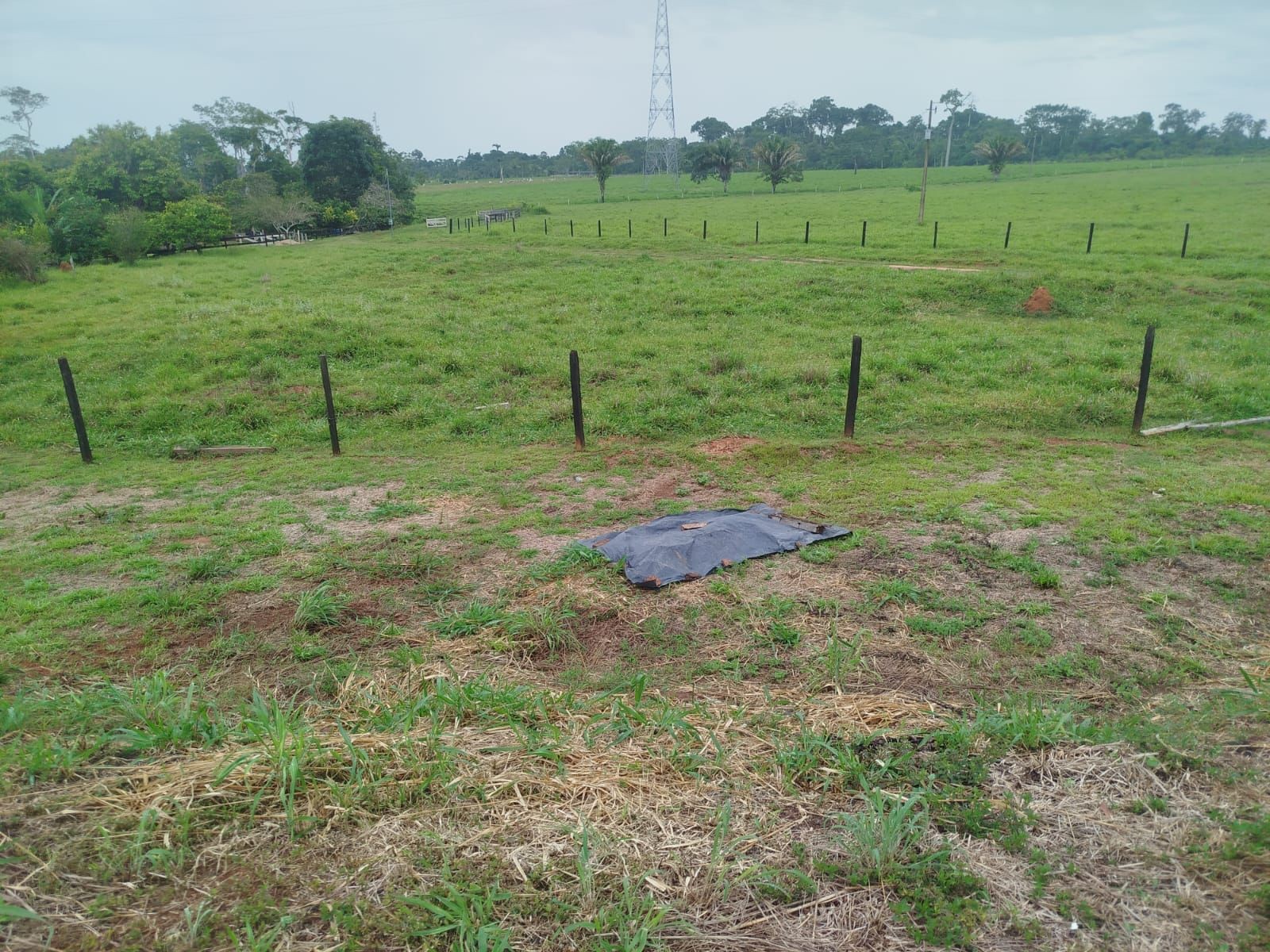 Homem é encontrado morto às margens de rodovia no interior do Acre