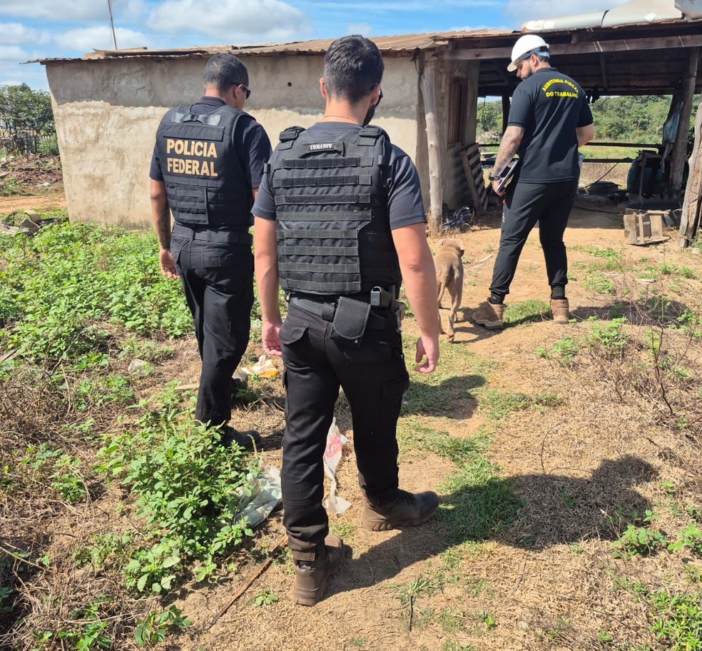 Fiscalização flagra trabalho escravo em Mato Grosso — Foto: SRTE-MT