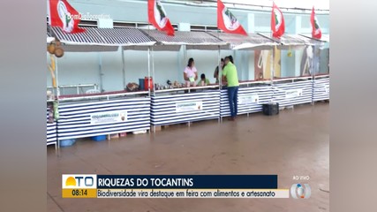 Feira de agricultura familiar é realizada em Palmas