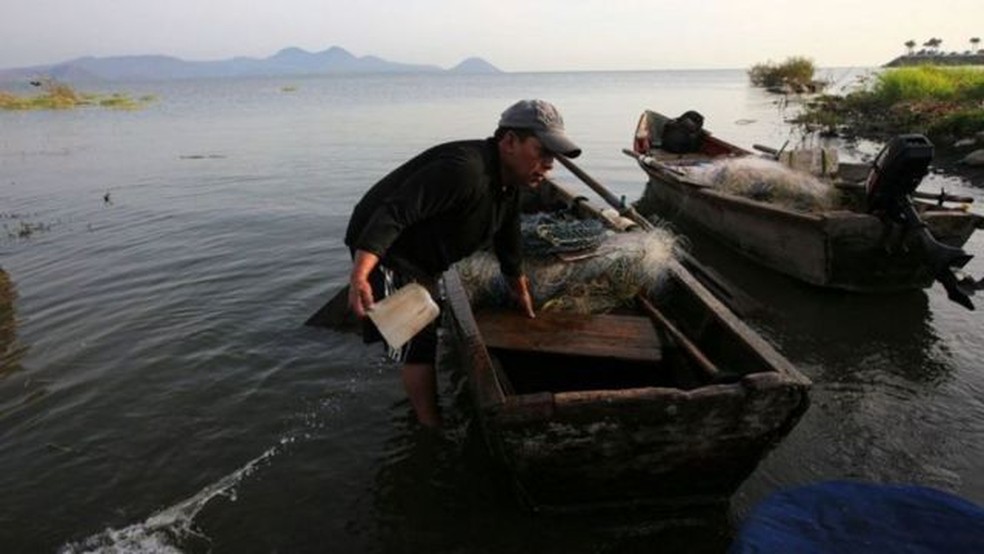 Estima-se que a pesca e a aquicultura contribuam com US$ 100 bilhões por ano e cerca de 260 milhões de empregos para a economia mundial. — Foto: Getty Images