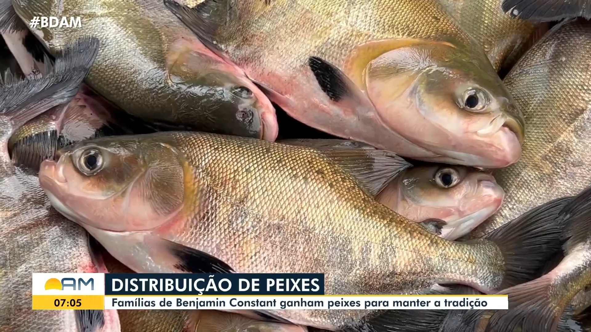 Bom Dia Amazonas desta sexta-feira, 3 de abril de 2026