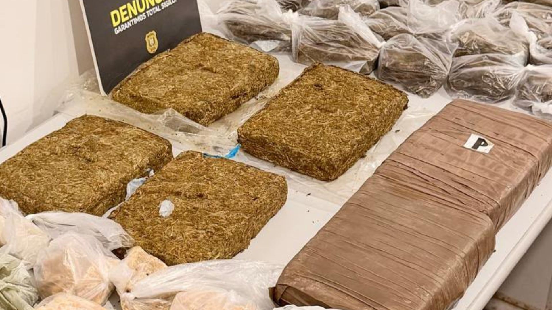 Polícia desarticula esquema de tráfico de drogas na Zona Sul de Macapá