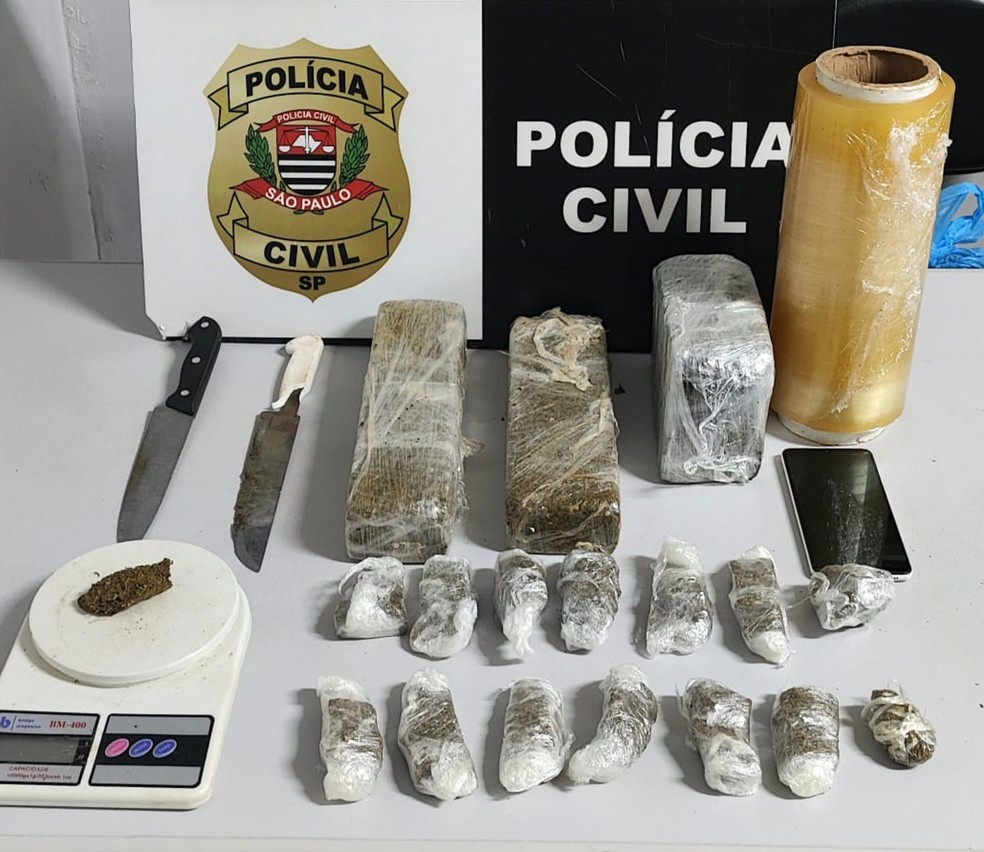 Jovem é preso com porções de maconha dentro de congelador e alega estar guardando para primo, em Presidente Prudente (SP) — Foto: Polícia Civil