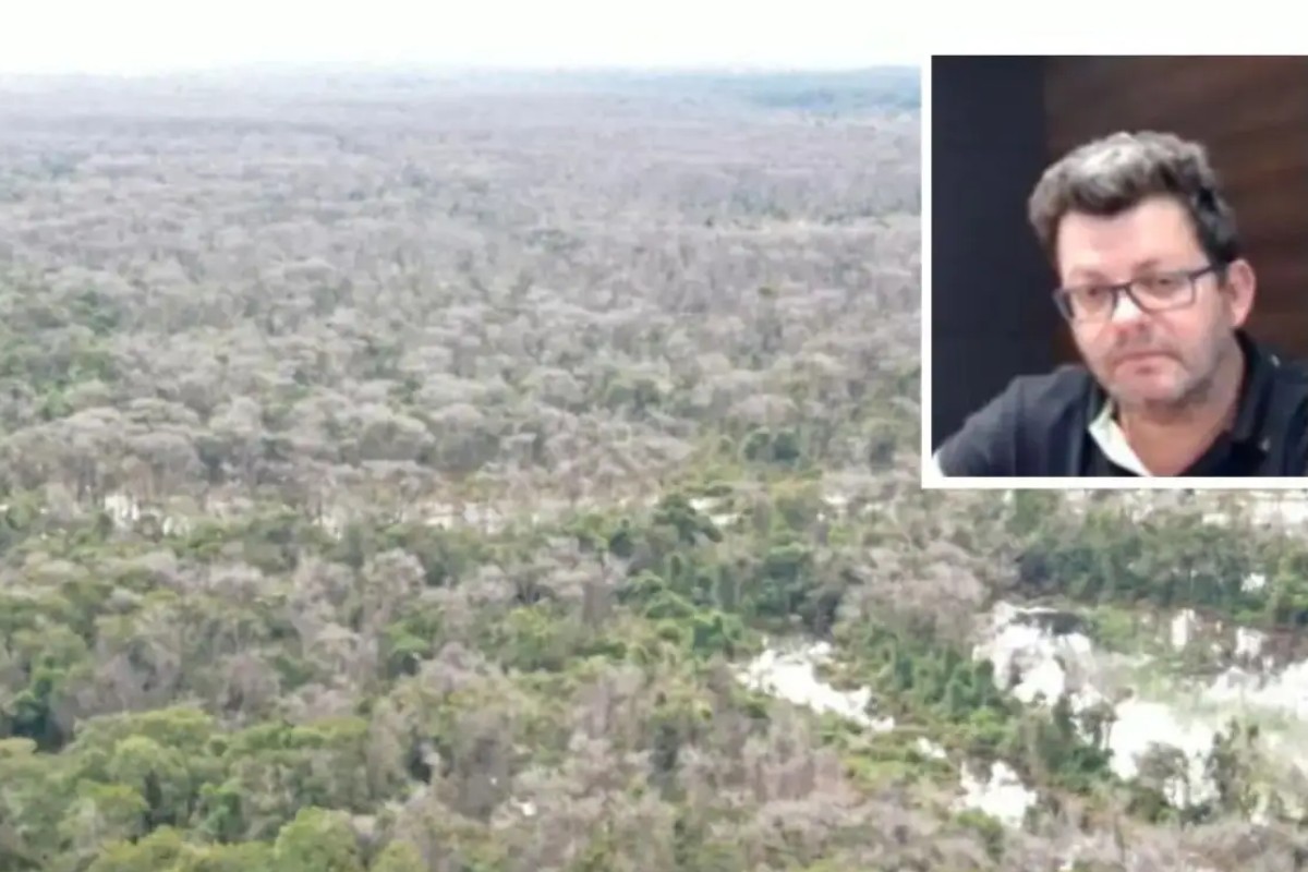 TJMT mantém condenação de pecuarista por crimes ambientais em área embargada no Pantanal 